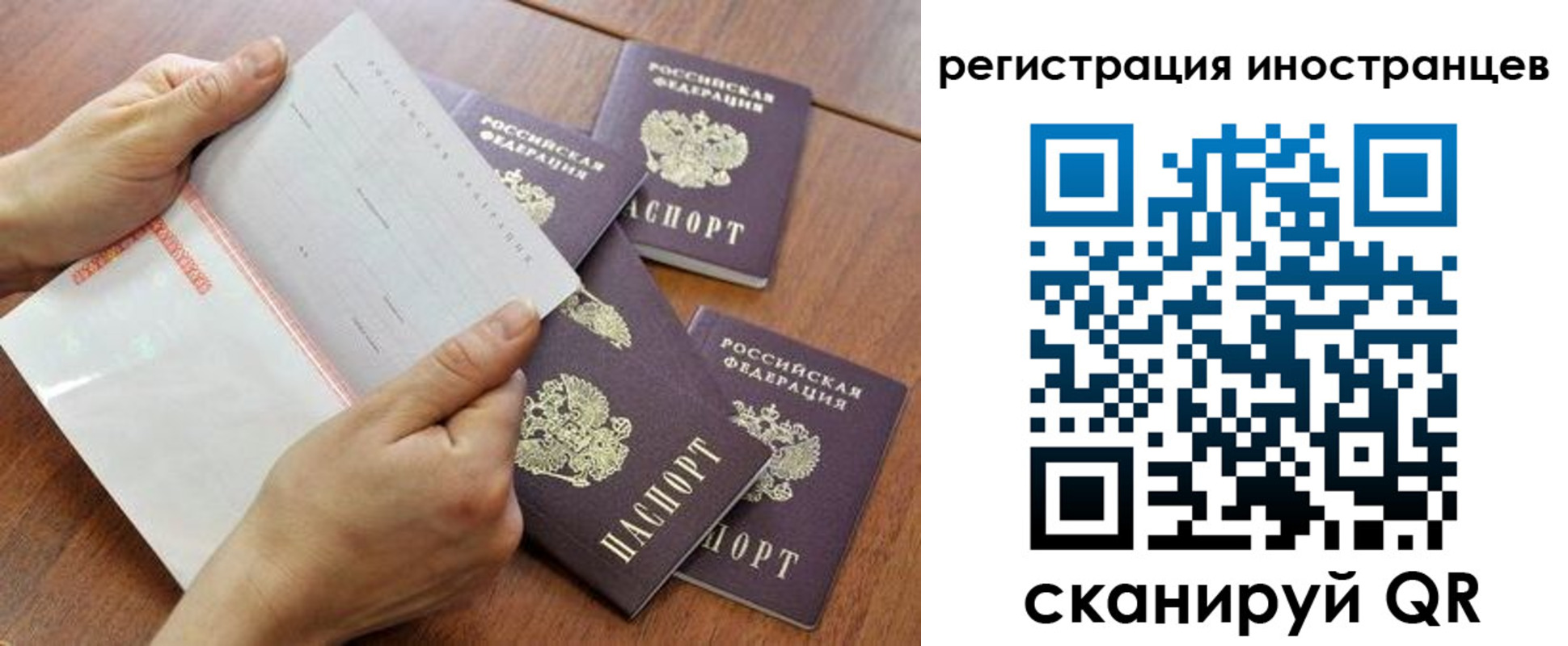 прописка поиск в Малой Вишере